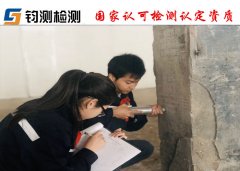 場(chǎng)地調(diào)查